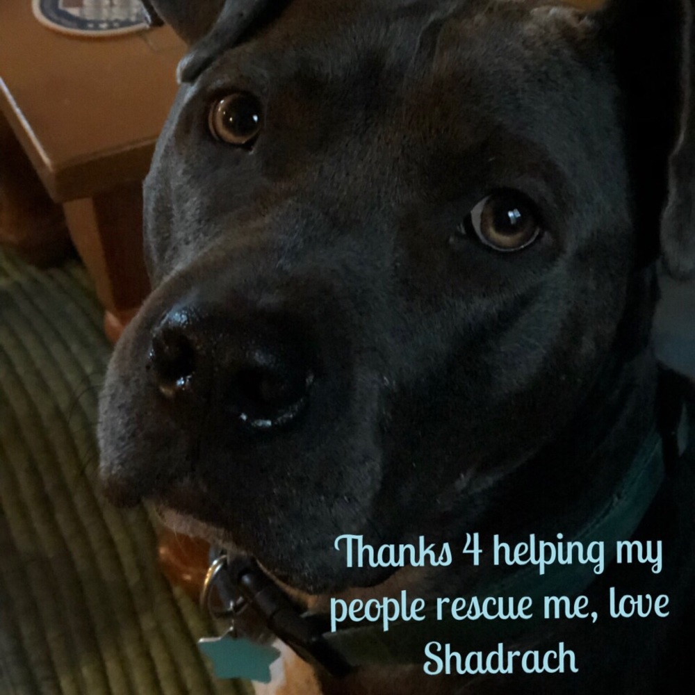 My people rescued me with sales from Poshmark.